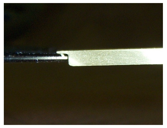 alternate view