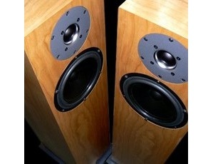 Kudos Audio Cardea C20 Loudspeakers pair [ex-demo]