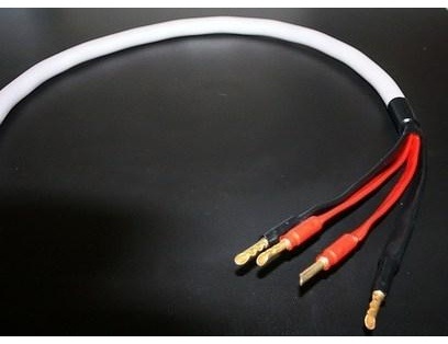 WireWorld Solstice 6 Speaker Cable