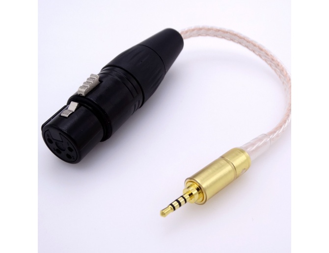 3 pin/4 pin femmina Mini connettore XLR per microfono FangWWW