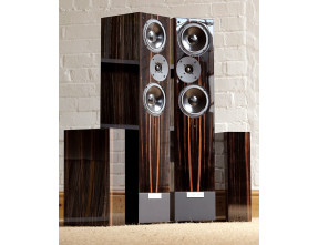 Living Voice Auditorium R25 Anniversary Loudspeakers Pair