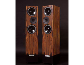 Living Voice Auditorium R25 Anniversary Loudspeakers Pair