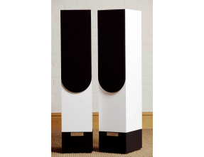 Living Voice Auditorium R25 Anniversary Loudspeakers Pair