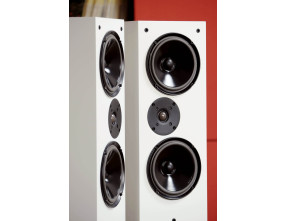 Living Voice Auditorium R25 Anniversary Loudspeakers Pair