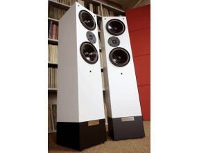 Living Voice Auditorium R25 Anniversary Loudspeakers Pair