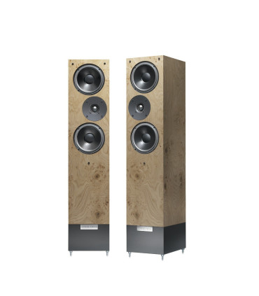 Living Voice IBX-R3 Loudspeakers Pair