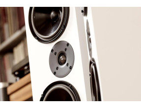 Living Voice OBX-RW3 Loudspeakers Pair