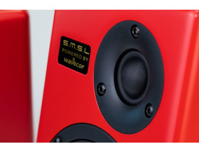 SMSL TABEBUIA WAVECOR Bookshelf Speakers 2 Way 100W 4Ω 88dB 56Hz-32kHz Black (Pair)