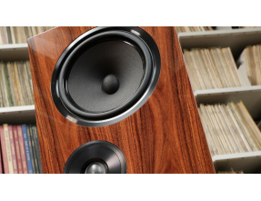 Living Voice OBX-R80 Coppia diffusori acustici