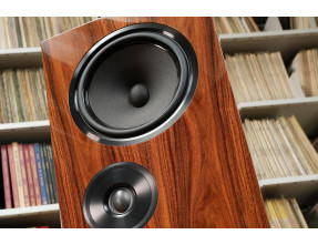 Living Voice OBX-R80 Coppia diffusori acustici