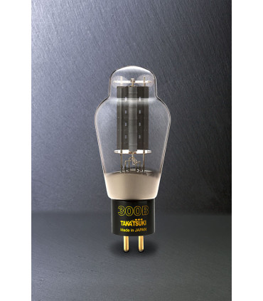 Takatsuki TA-300B Valvole definitive per l'Audio (coppia selezionata)