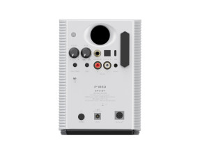 FiiO SP3 BT Altoparlanti Desktop Attivi Bluetooth (Coppia)