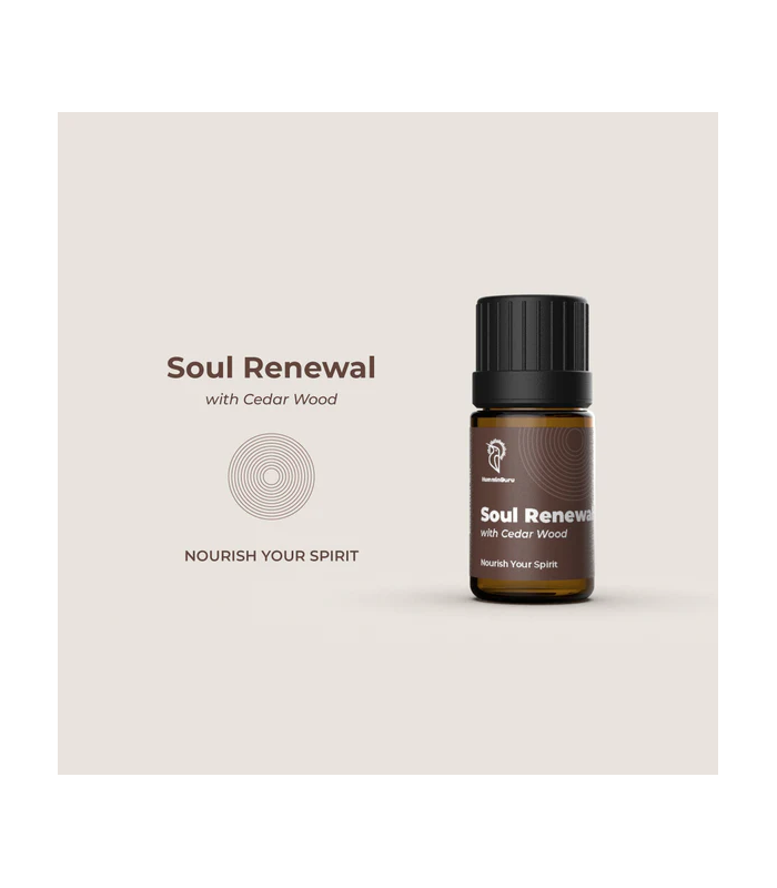 HumminGuru Diffusore di Aromi + Set di Oli Essenziali