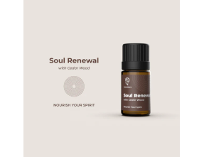 HumminGuru Diffusore di Aromi + Set di Oli Essenziali