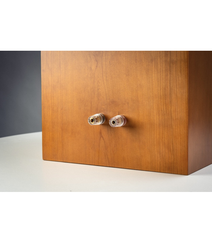 Audiomaster21 LS5/9 Classic 8 Loudspeakers Pair