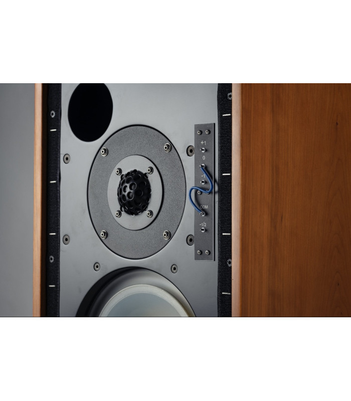 Audiomaster21 LS5/9 Classic 8 Coppia Diffusori Acustici