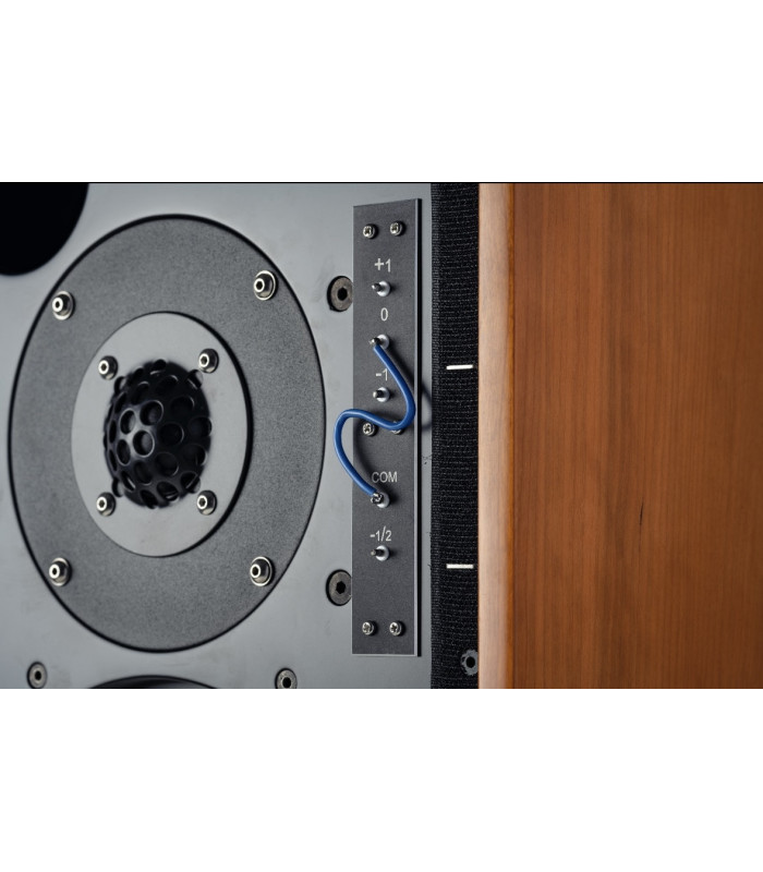 Audiomaster21 LS5/9 Classic 8 Loudspeakers Pair