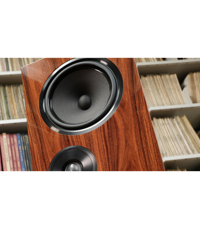 Living Voice OBX-R80 Loudspeakers Pair
