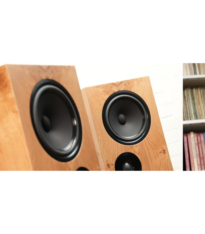Living Voice OBX-R80 Loudspeakers Pair