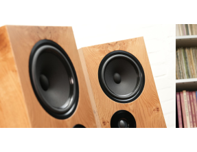 Living Voice OBX-R80 Loudspeakers Pair