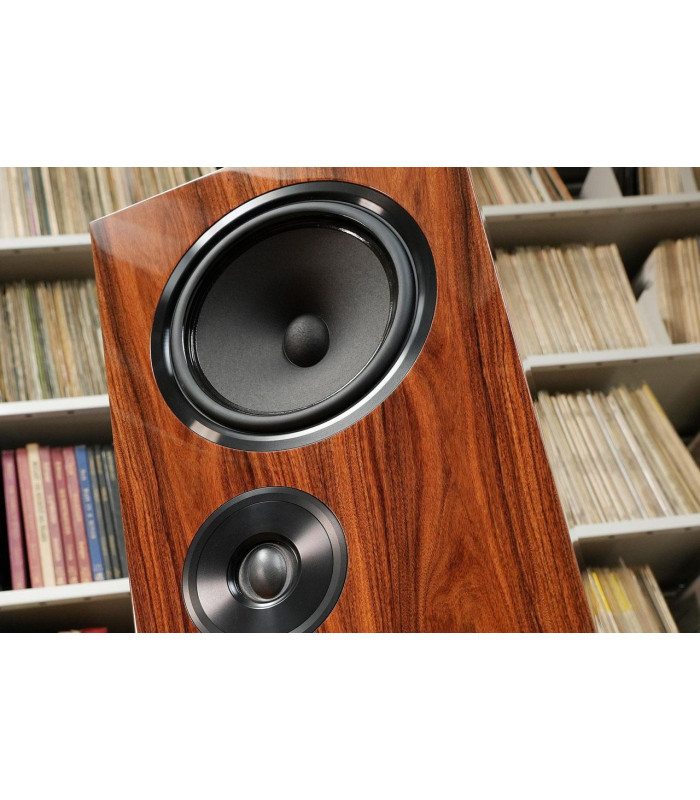 Living Voice OBX-R80 Loudspeakers Pair