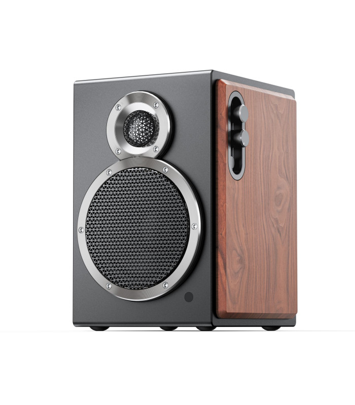 FiiO SA1 High Fidelity Active speakers (Pair)