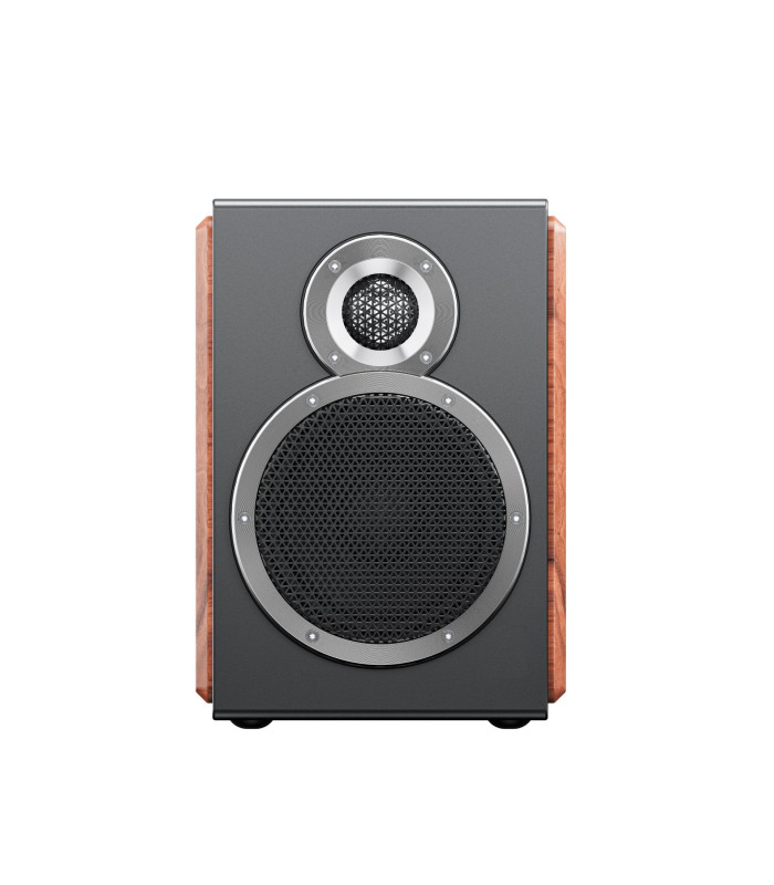 FiiO SA1 Altoparlanti Desktop Attivi (coppia)