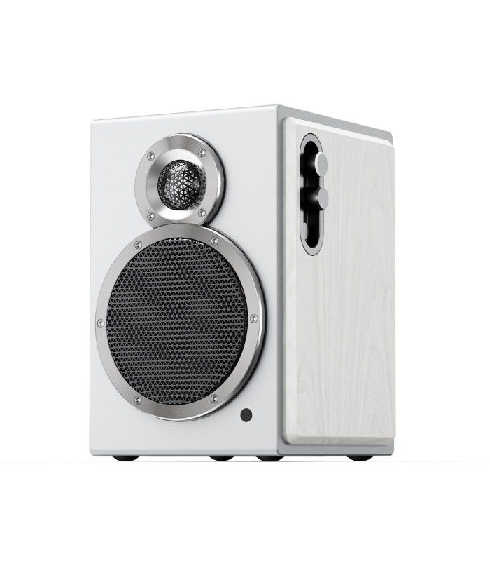 FiiO SA1 High Fidelity Active speakers (Pair)