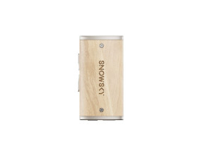 FIIO SNOWSKY Melody Portable DAC and Headphone Amplifier