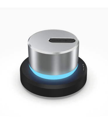 HumminGuru LUMI Record Stabilizer