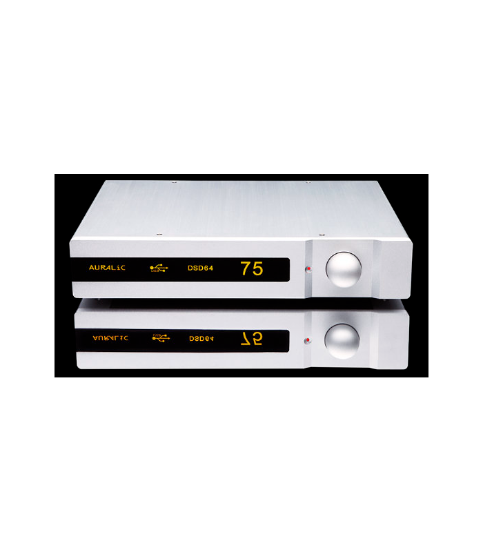 AURALiC VEGA DAC [2nd hand]