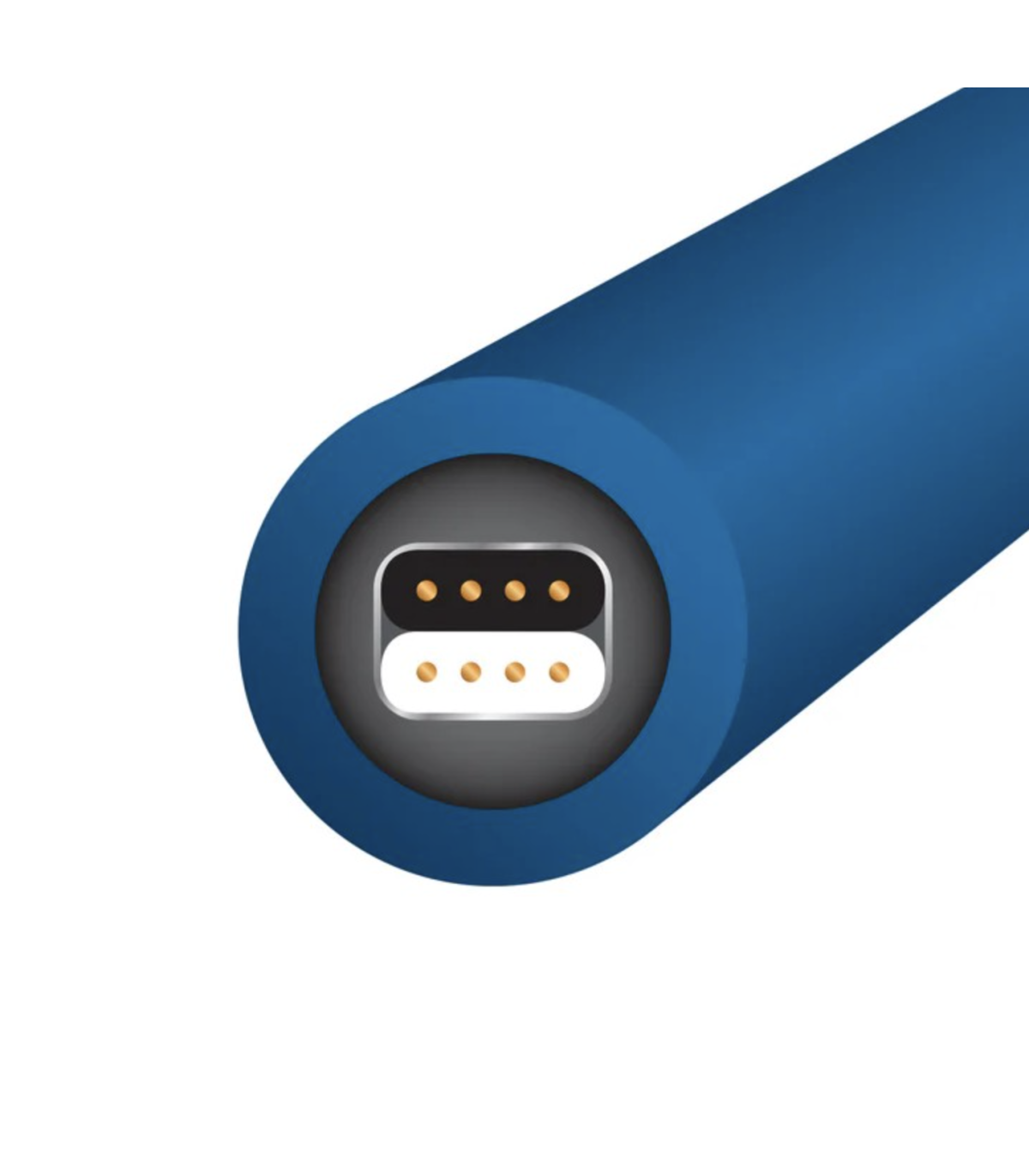 WireWorld Stream 10 RCA Interconnect Cable