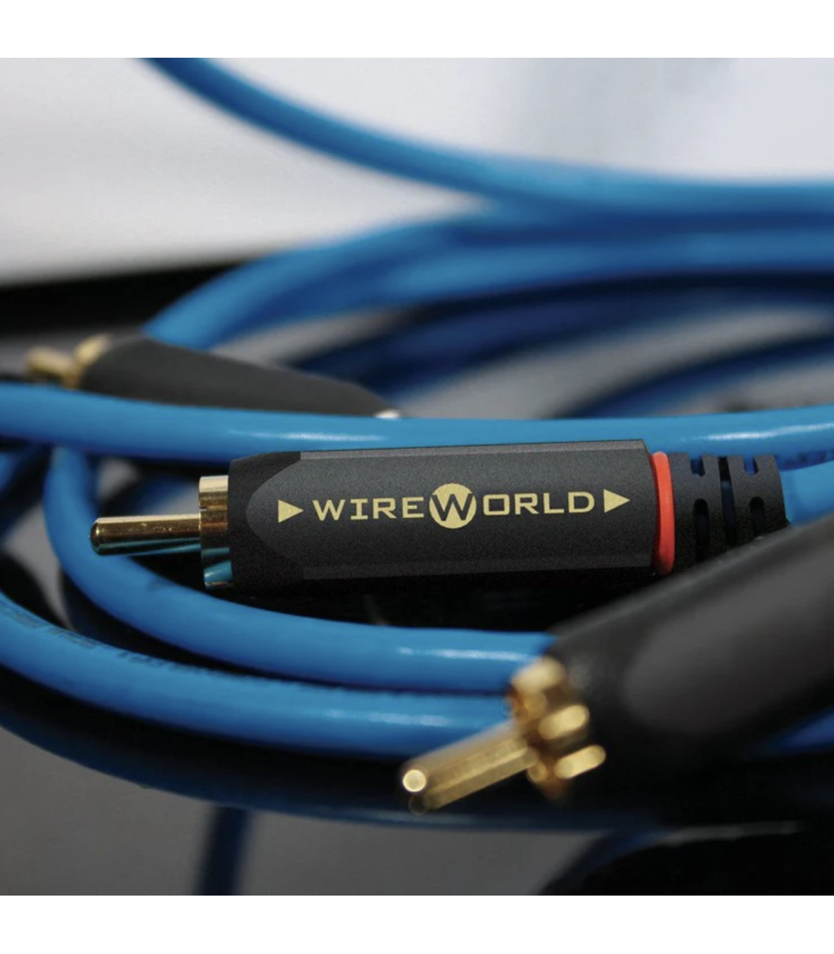 WireWorld Stream 10 Cavo di interconnessione RCA