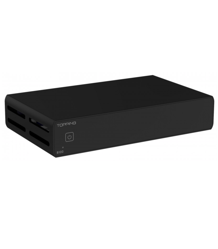 Topping B100 Amplificatore di Potenza Monoblock