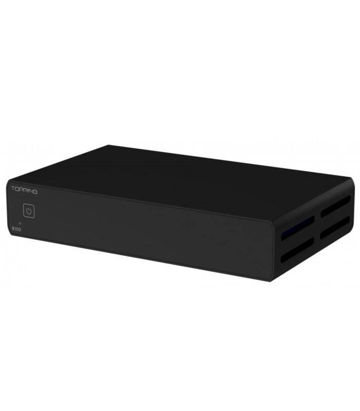 Topping B100 Amplificatore di Potenza Monoblock