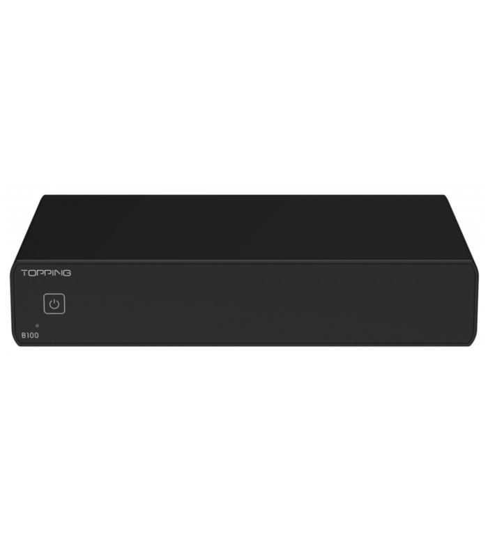 Topping g B100 Monoblock Amplifier