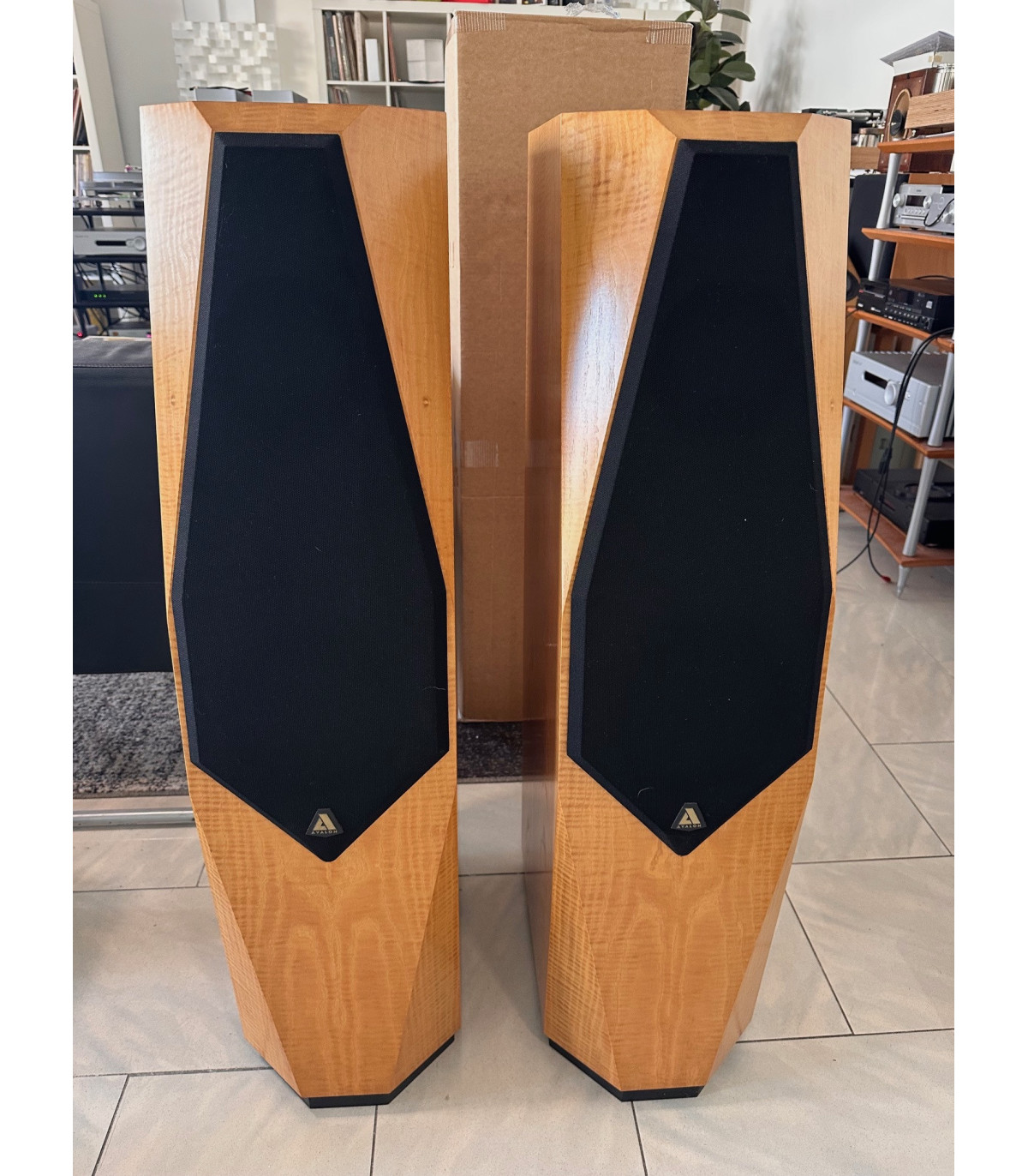 AVALON OPUS Coppia diffusori acustici da pavimento [usato]