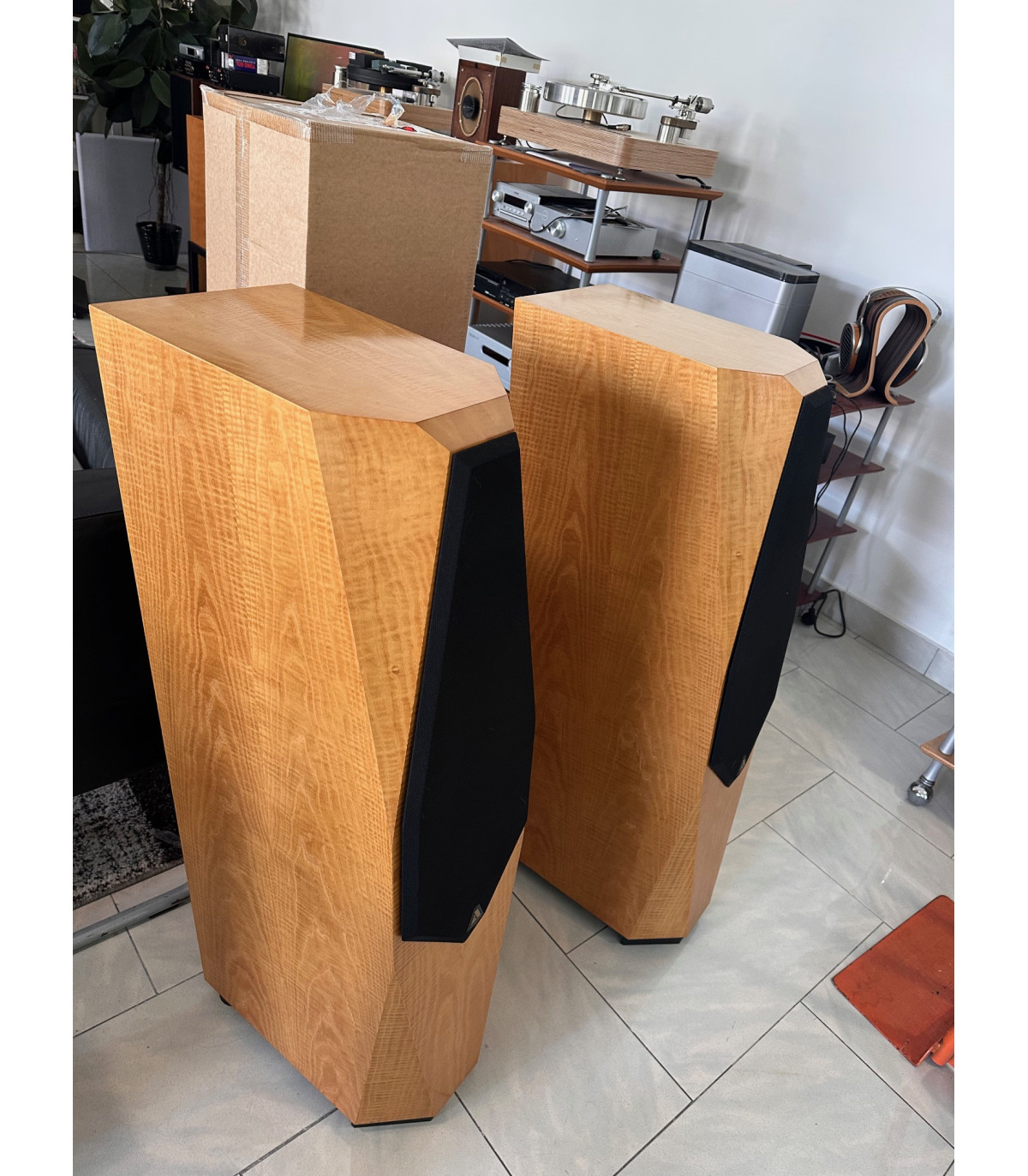 AVALON OPUS Coppia diffusori acustici da pavimento [usato]