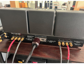 VAC PA  80/80 Amplificatore finale stereo a valvole [usato]