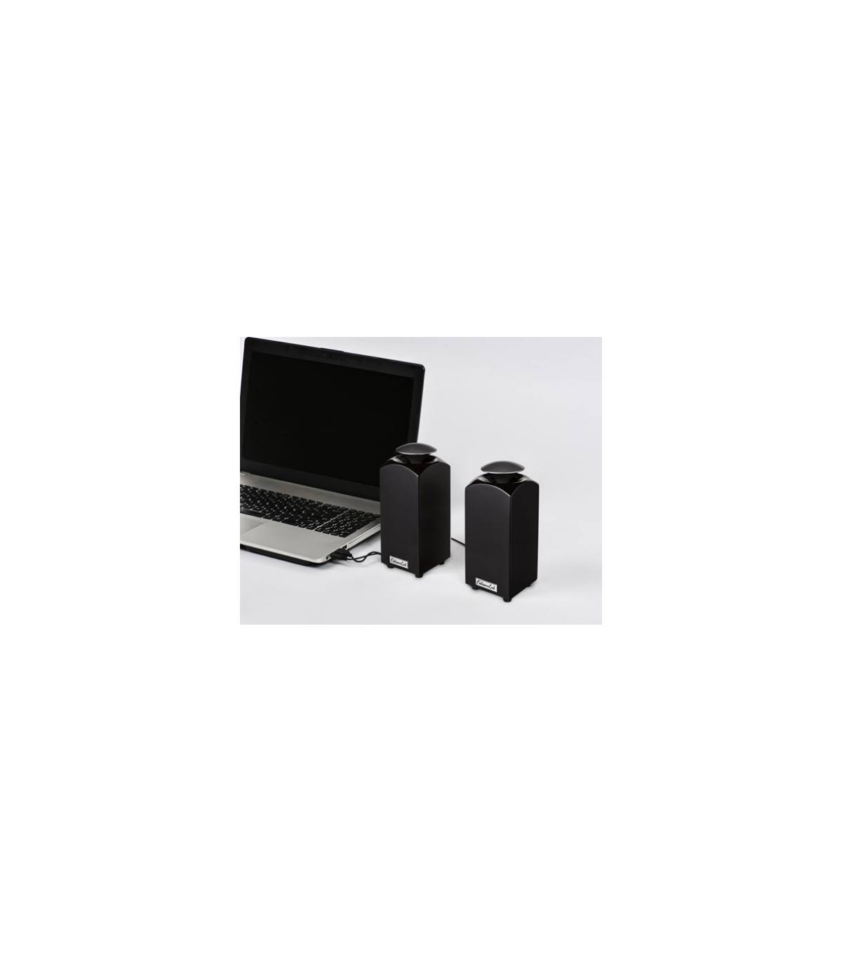 FalconLab M20ib Diffusori Attivi da scrivania (coppia)  [ex-demo]
