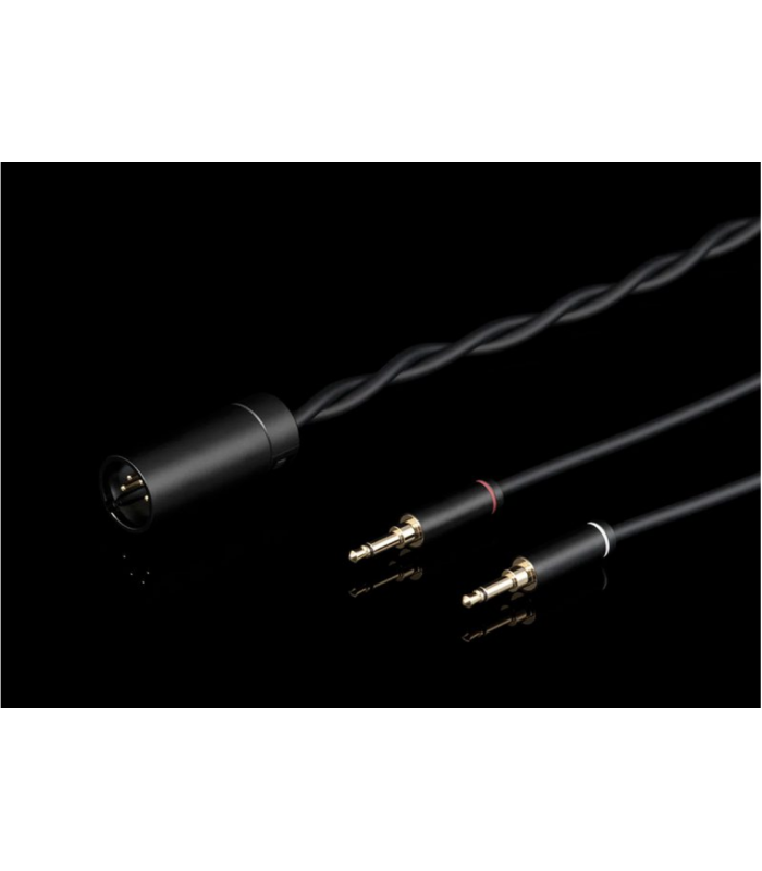 Final Audio DX6000 Cuffie aperte [usato]