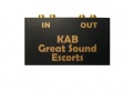KAB Pre-Con LP Converter Convertitore Linea-Phono