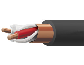 Acoustic Revive SPC-Reference II TripleC - Sp. cable (cut-sales)