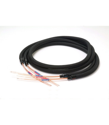 Acoustic Revive SPC-TripleC Speaker cables