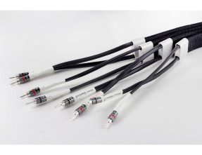 Tellurium Q Silver Diamond Speaker Cable
